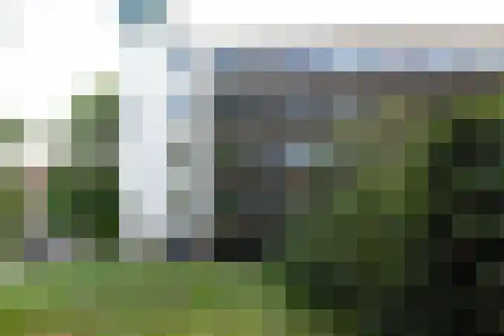 Kattenburgerhof 18 Amsterdam thumbnail 31