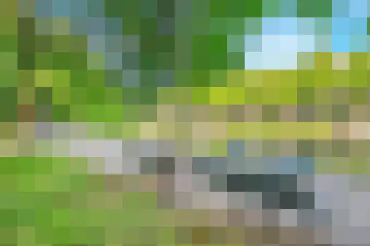 Kattenburgerhof 18 Amsterdam thumbnail 33