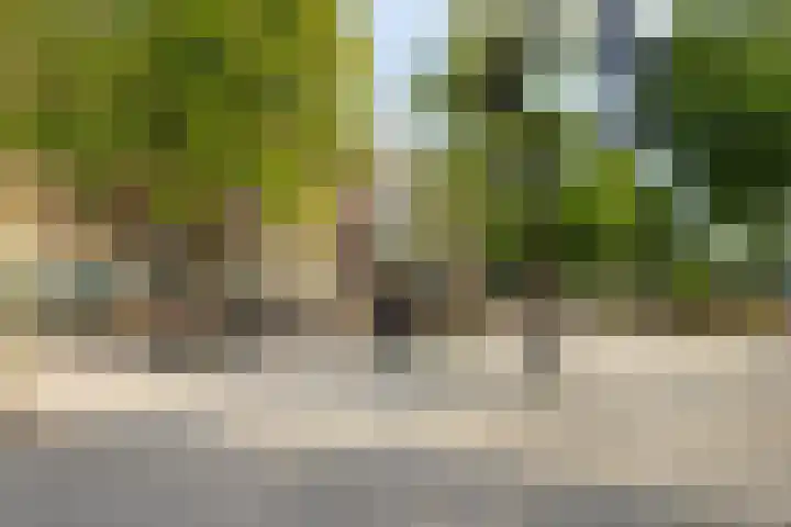 Kattenburgerhof 18 Amsterdam thumbnail 38