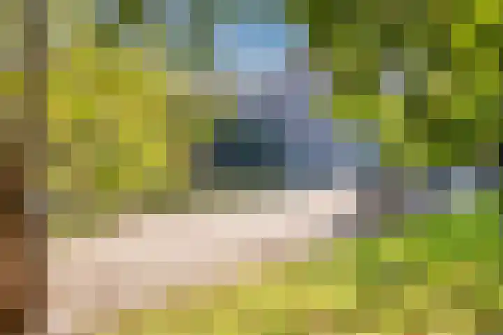 Kattenburgerhof 33 Amsterdam thumbnail 38