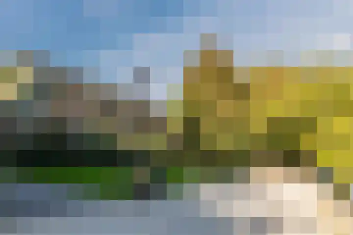 Kattenburgerhof 33 Amsterdam thumbnail 40