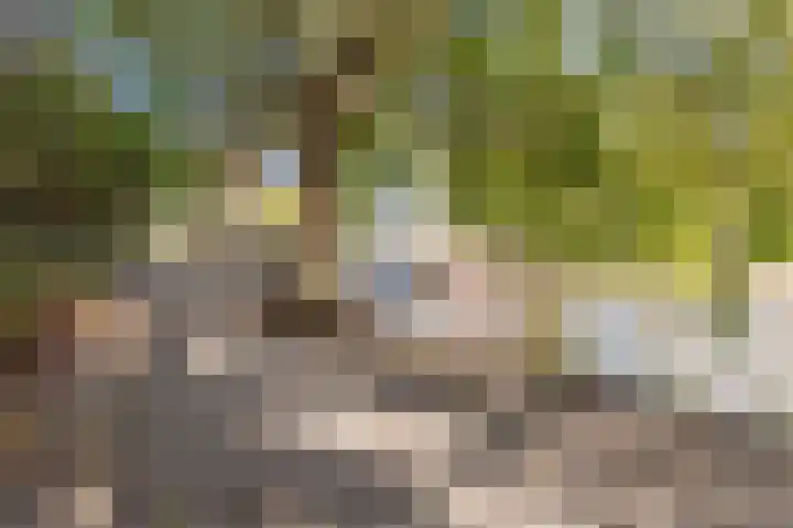 Kattenburgerhof 33 Amsterdam thumbnail 41