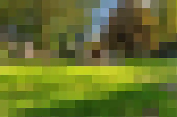 Kattenburgerhof 33 Amsterdam thumbnail 42
