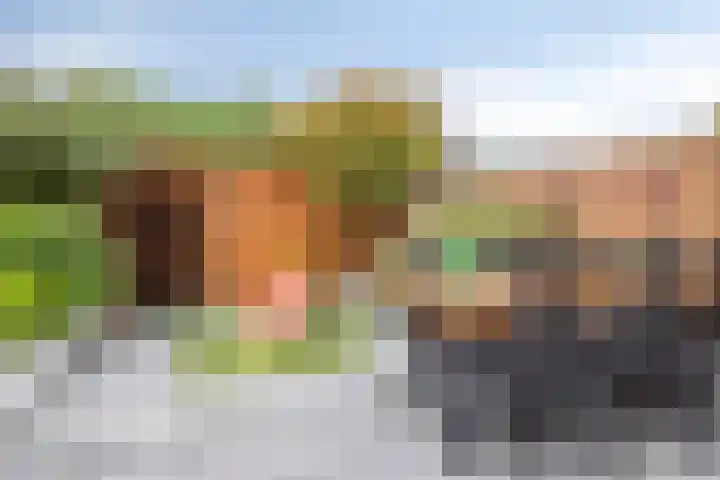 Kattendoorn 28 Driel thumbnail 38
