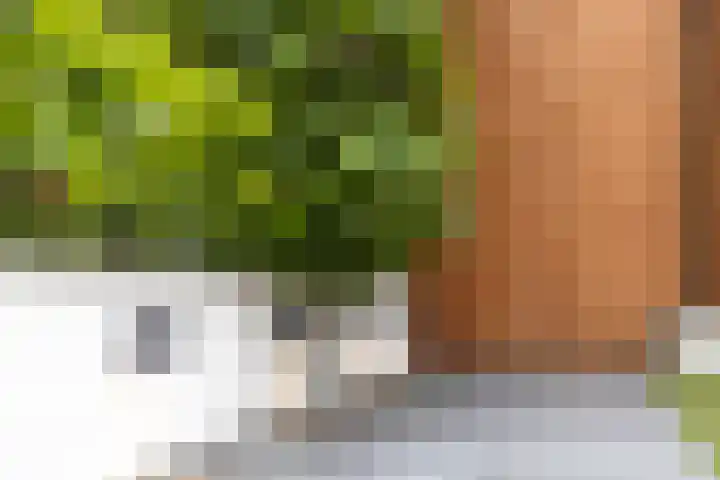 Kattendoorn 28 Driel thumbnail 40