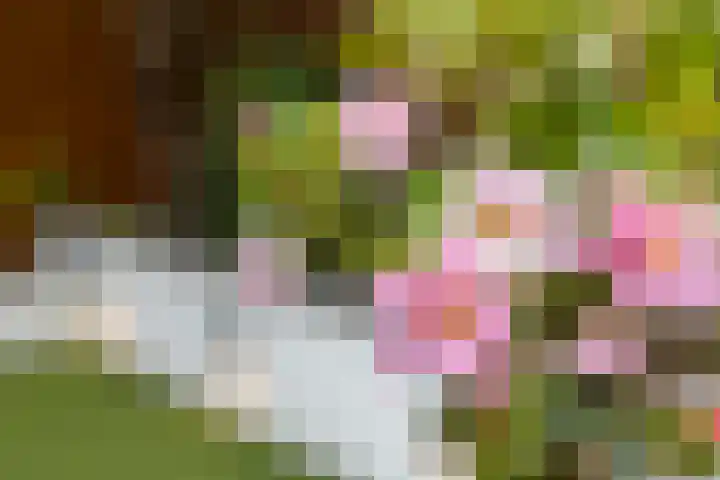 Kattendoorn 28 Driel thumbnail 41