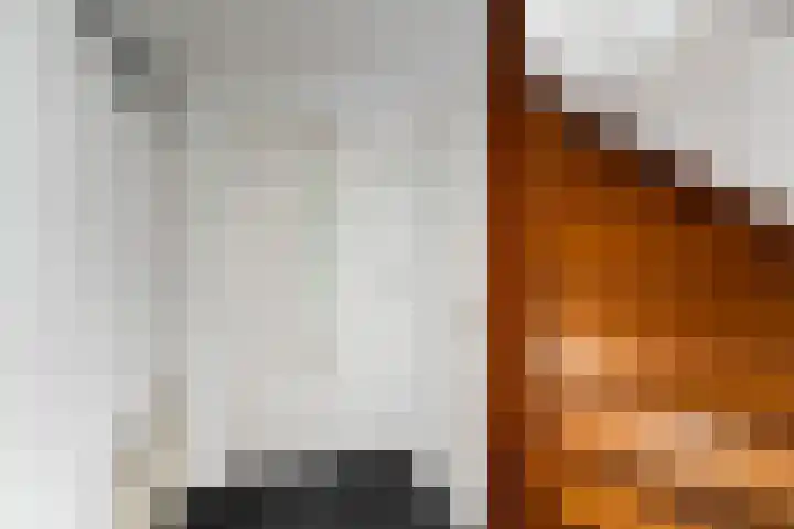 Kattensingel 76 d Gouda thumbnail 9