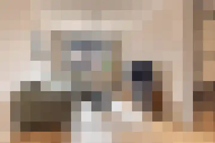 Kattenstaart 4 Berlicum thumbnail 10