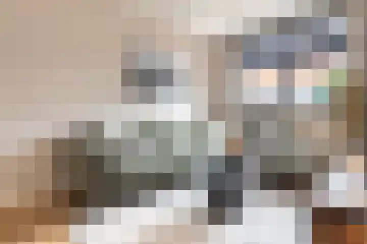 Kattenstaart 4 Berlicum thumbnail 11