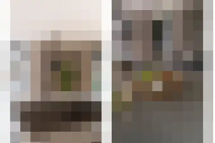 Kattenstaart 4 Berlicum thumbnail 17