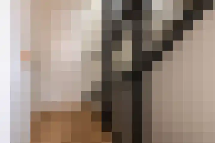 Kattenstaart 4 Berlicum thumbnail 18