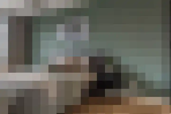Kattenstaart 4 Berlicum thumbnail 19