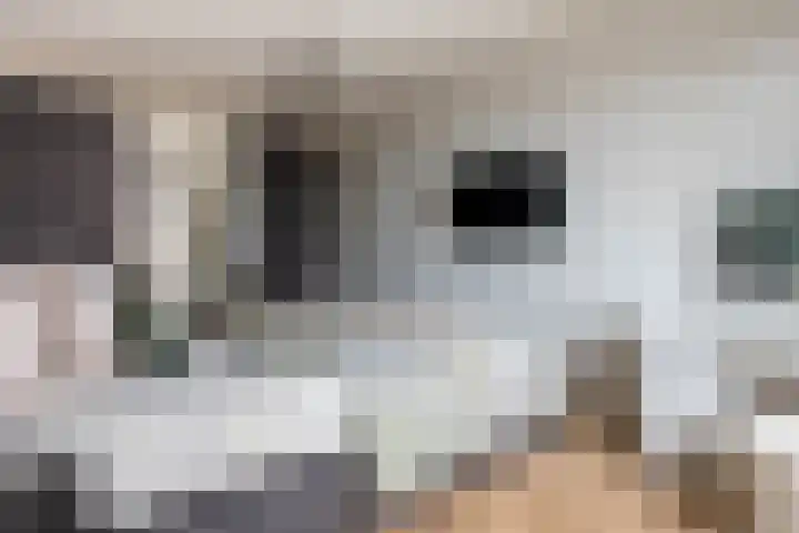 Kattenstaart 4 Berlicum thumbnail 20