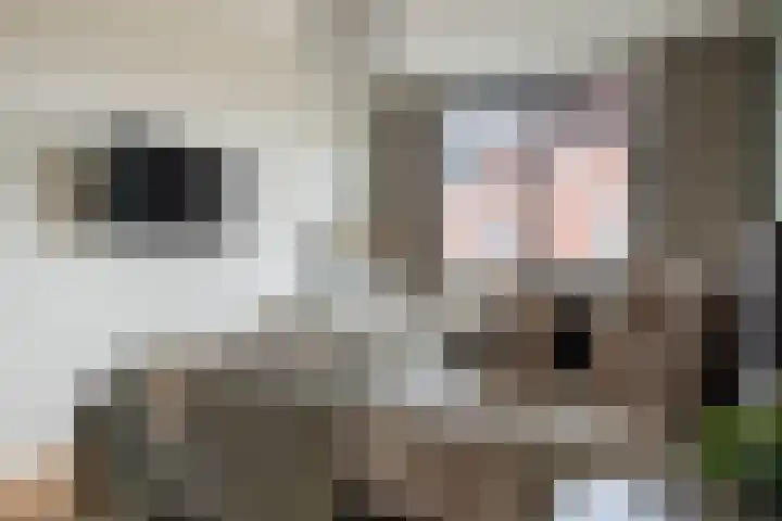 Kattenstaart 4 Berlicum thumbnail 21