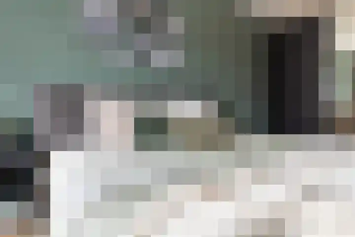 Kattenstaart 4 Berlicum thumbnail 22
