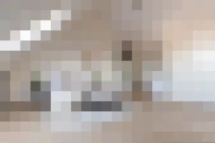 Kattenstaart 4 Berlicum thumbnail 31