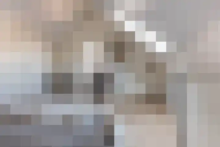 Kattenstaart 4 Berlicum thumbnail 32