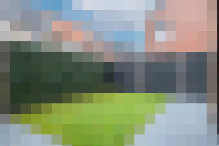 Kattenstaart 4 Berlicum thumbnail 39