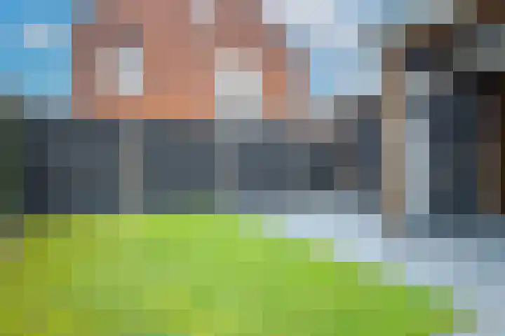 Kattenstaart 4 Berlicum thumbnail 40