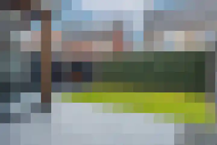 Kattenstaart 4 Berlicum thumbnail 41