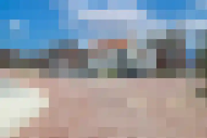 Kattenstaart 4 Berlicum thumbnail 42