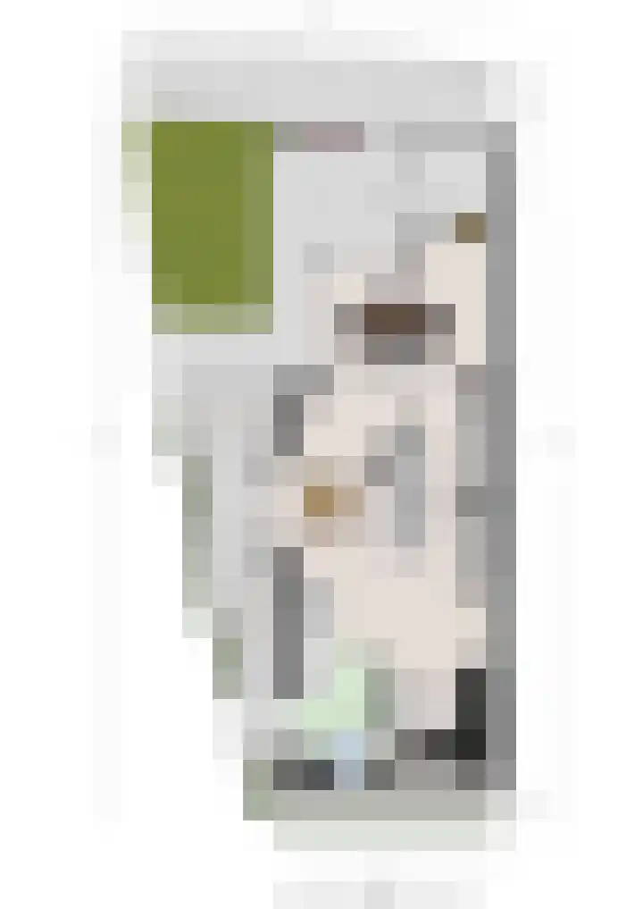 Kattenstaart 4 Berlicum thumbnail 44