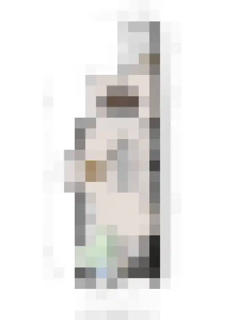 Kattenstaart 4 Berlicum thumbnail 45