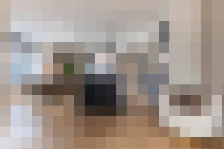 Kattenstaart 4 Berlicum thumbnail 6