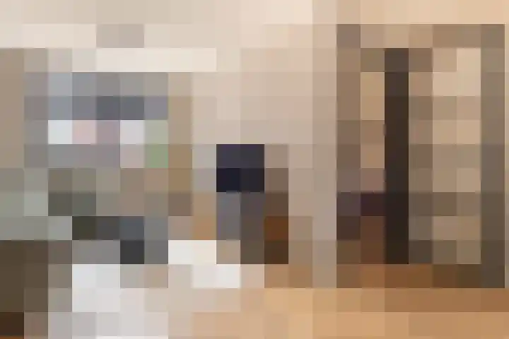 Kattenstaart 4 Berlicum thumbnail 8