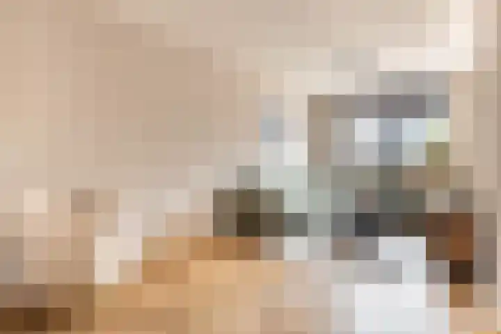 Kattenstaart 4 Berlicum thumbnail 9