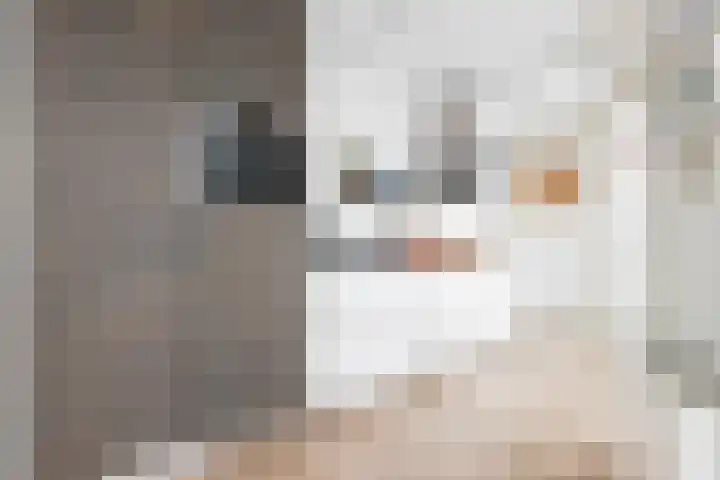 Kattestaart 33 in Alblasserdam
