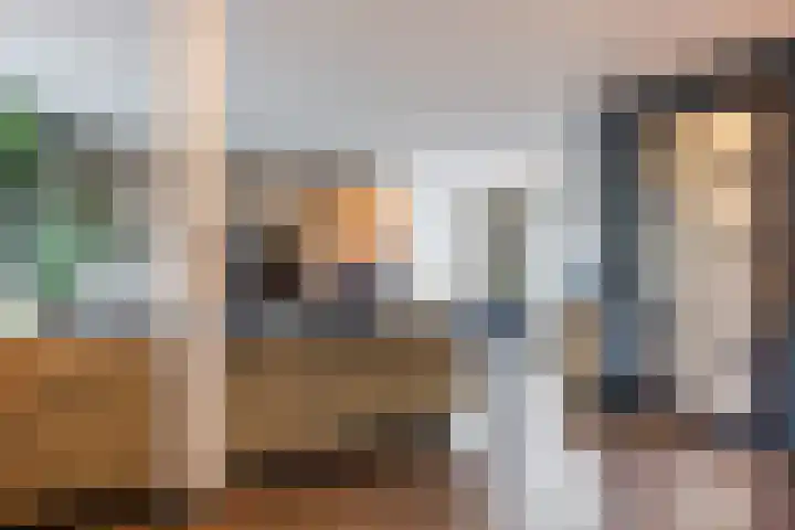 Kattestart 16 Gemert thumbnail 13