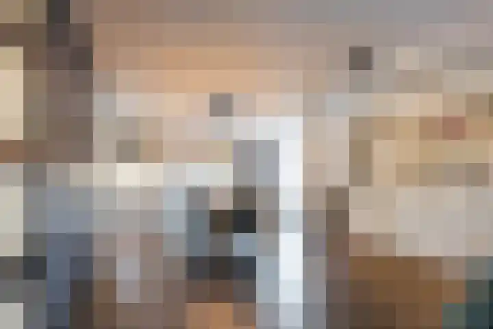 Kattestart 16 Gemert thumbnail 14