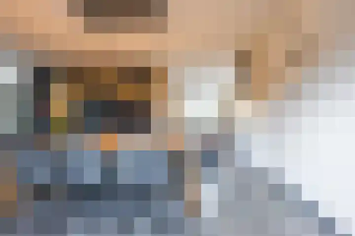 Kattestart 16 Gemert thumbnail 16