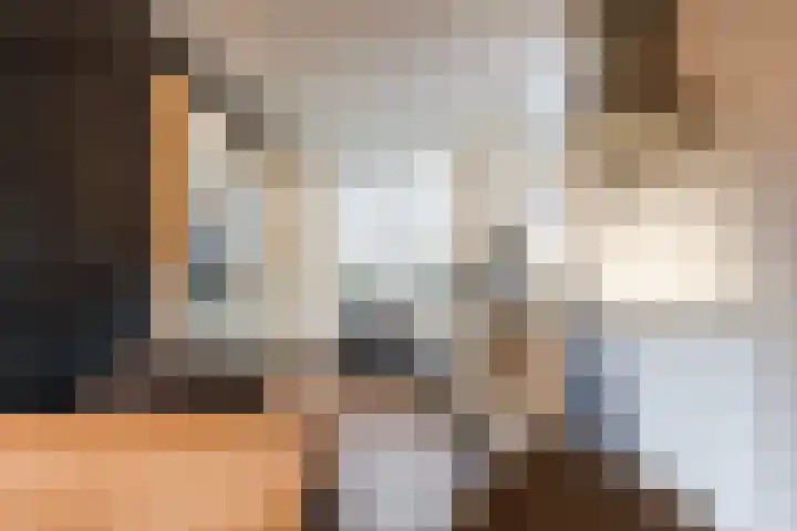 Kattestart 16 Gemert thumbnail 18