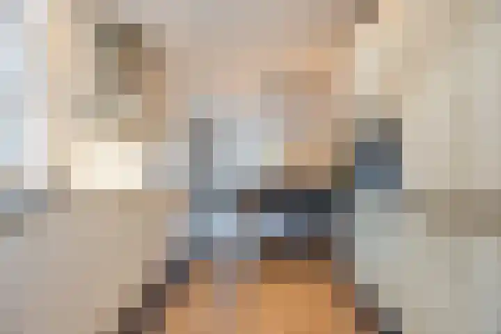 Kattestart 16 Gemert thumbnail 20