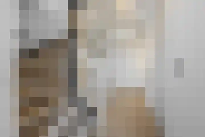 Kattestart 16 Gemert thumbnail 21