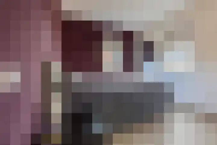 Kattestart 16 Gemert thumbnail 24