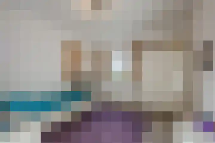 Kattestart 16 Gemert thumbnail 27