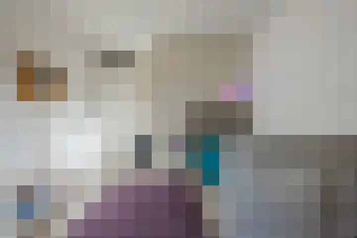 Kattestart 16 Gemert thumbnail 28