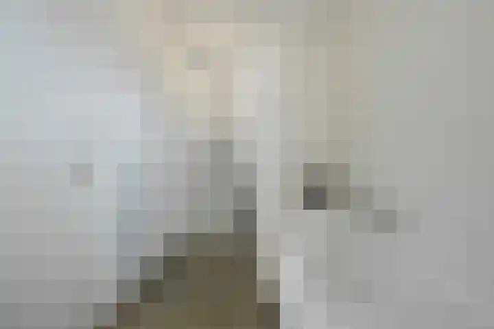 Kattestart 16 Gemert thumbnail 31
