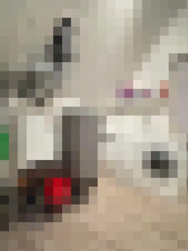 Kattestart 16 Gemert thumbnail 34