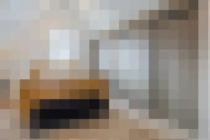 Kattestart 16 Gemert thumbnail 35