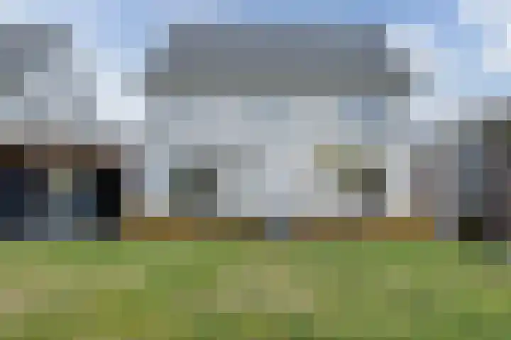 Kattestart 16 Gemert thumbnail 36