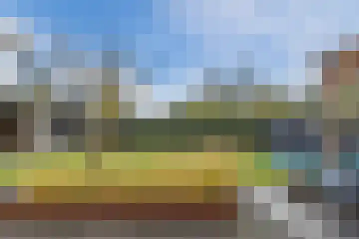 Kattestart 16 Gemert thumbnail 39