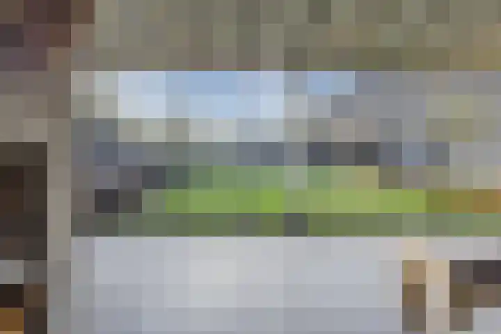 Kattestart 16 Gemert thumbnail 43