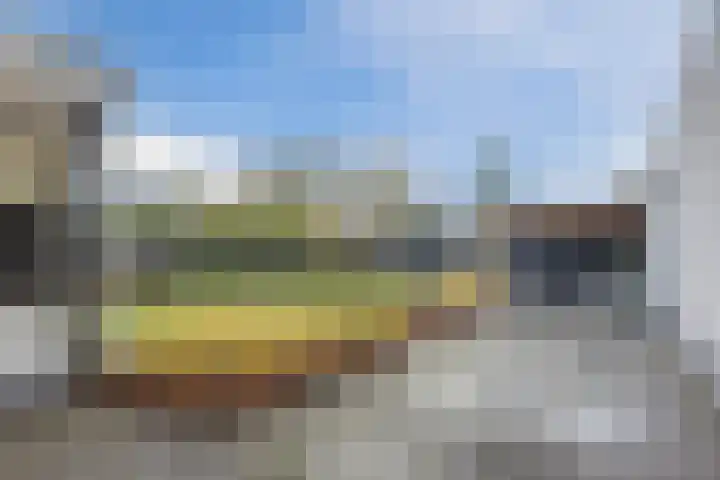 Kattestart 16 Gemert thumbnail 47