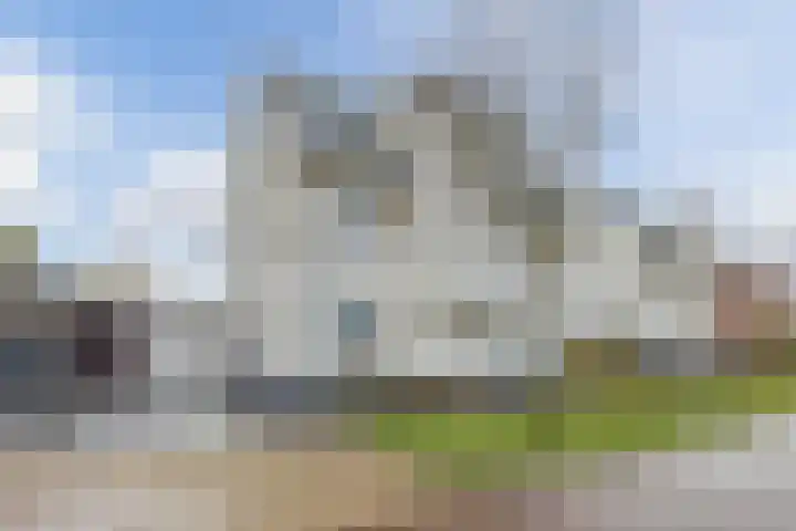 Kattestart 16 Gemert thumbnail 51