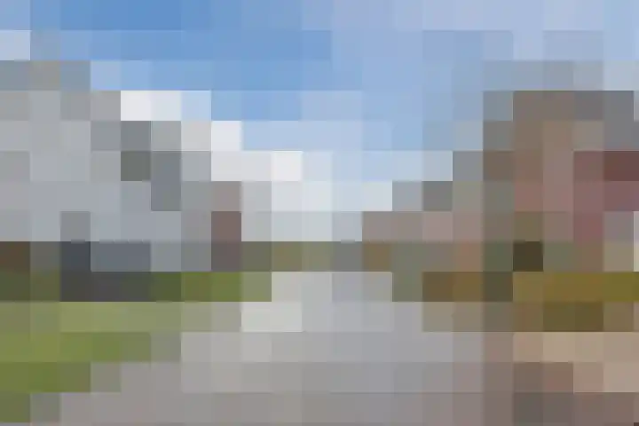 Kattestart 16 Gemert thumbnail 52