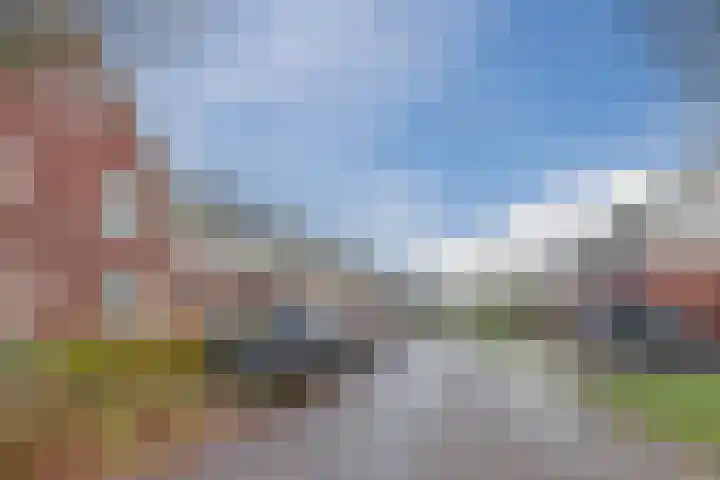 Kattestart 16 Gemert thumbnail 53